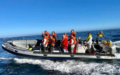 Hout Bay Powerboats