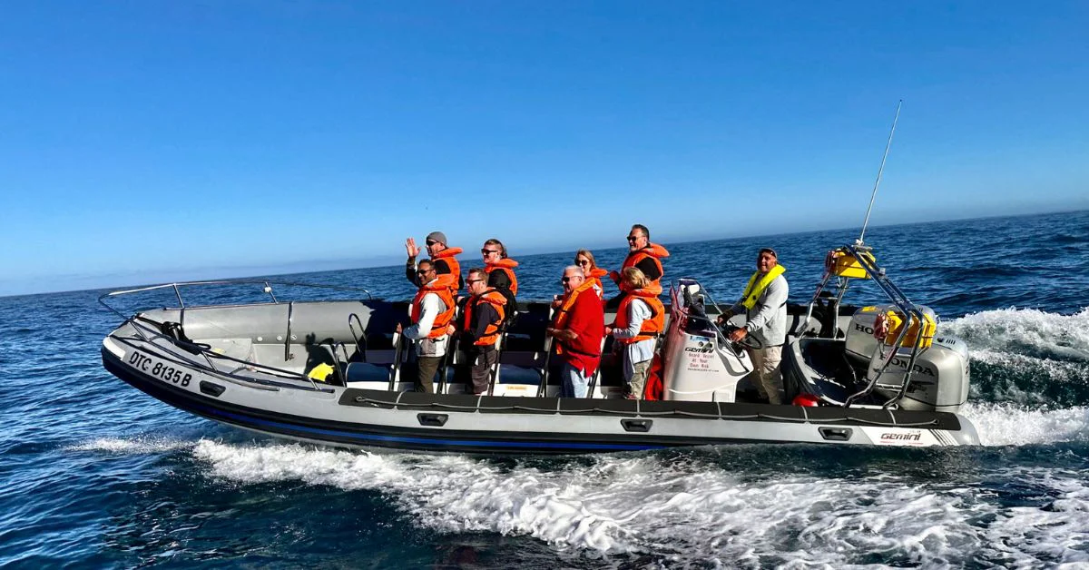 Hout Bay Powerboats
