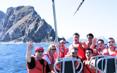 Cape Point Powerboats