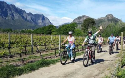 Winelands Cycle