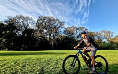 Constantia Cycle & Wine Tasting