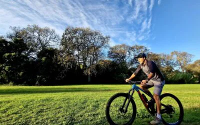 Constantia Cycle & Wine Tasting