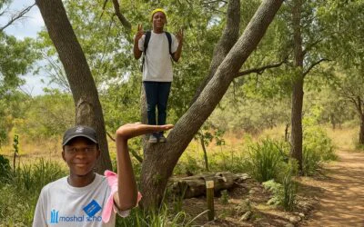 Stellies Park Off