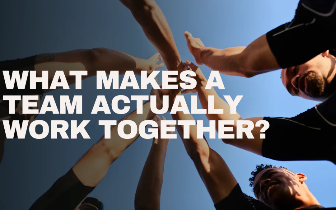 What Makes a Team Actually Work Together?